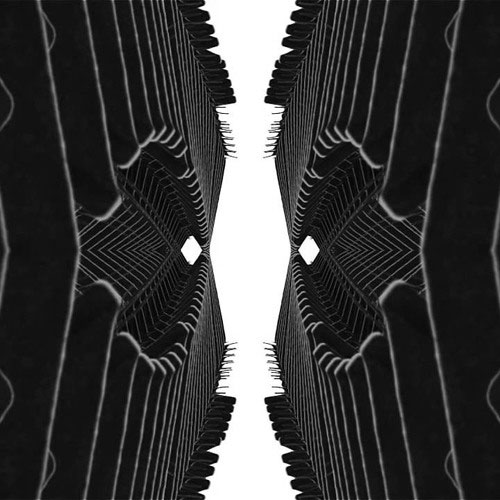 formfunctionremix