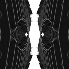 Form Function (Ten Ton Atom Remix)