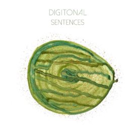 Sentences | New Digitonal Single + Video