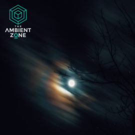 Laroca – Woods | The Ambient Zone